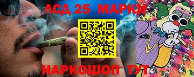 сатива Гагарин